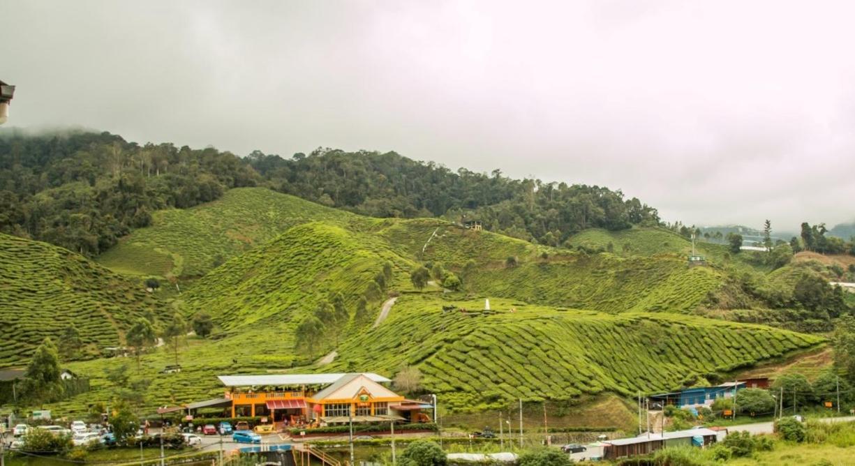Gorgeous Sunset & Tea Plantation View-Premium Hotel Bed Kampung Kuala Terla Exterior photo